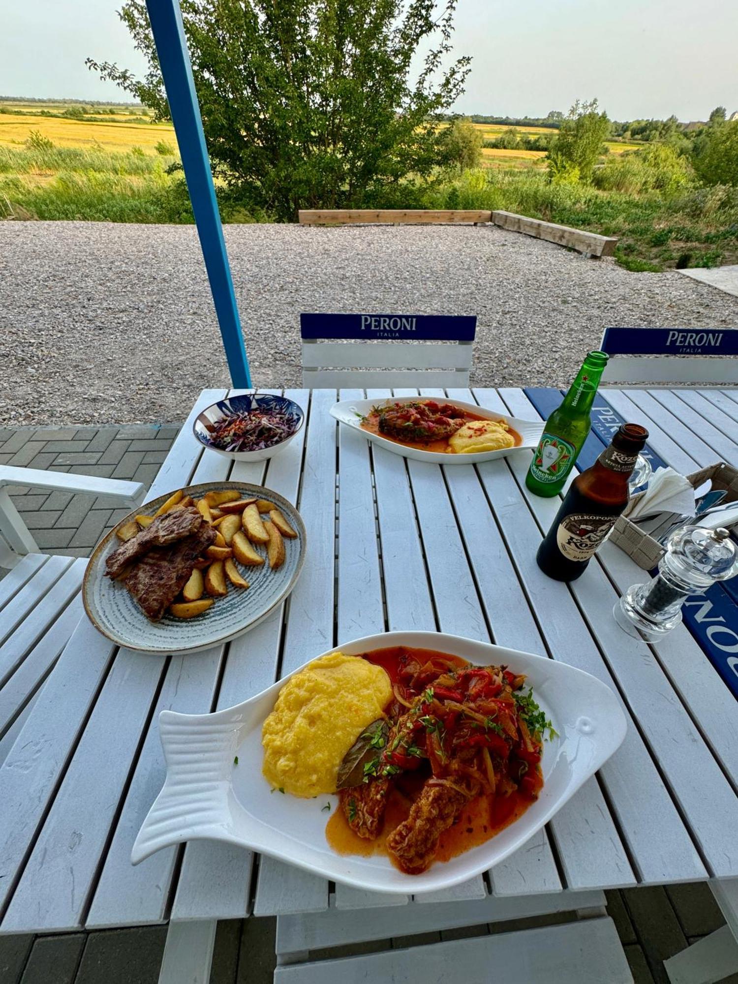 Hotel Danube Delta View à Dunavăţu de Jos Extérieur photo